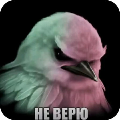 👍 Стикер «Вряд-ли птица» для Telegram