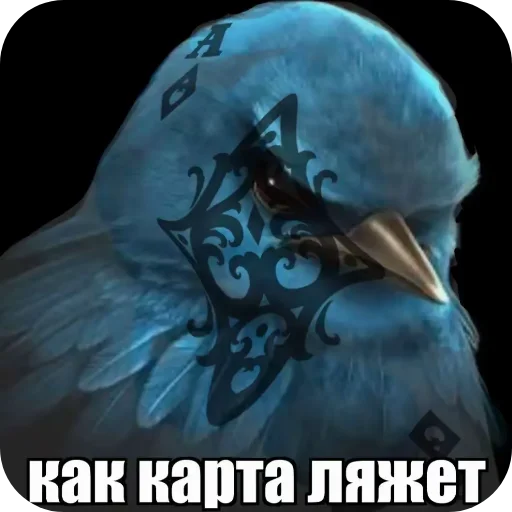 🖼 Стикер «Вряд-ли птица» для Telegram