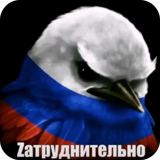 ⛑ Стикер «Вряд-ли птица» для Telegram