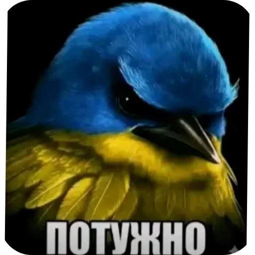 👍 Стикер «Вряд-ли птица» для Telegram