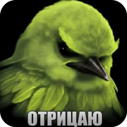 🐦 Стикер «Вряд-ли птица» для Telegram