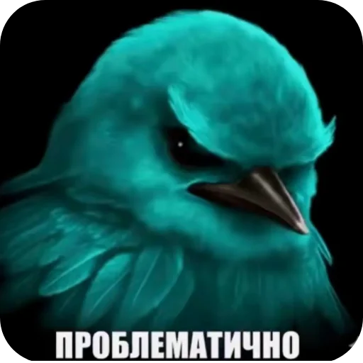 🐦 Стикер «Вряд-ли птица» для Telegram