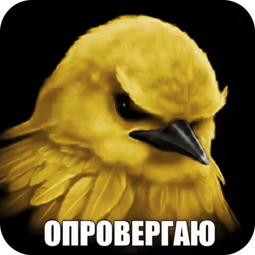🐦 Стикер «Вряд-ли птица» для Telegram