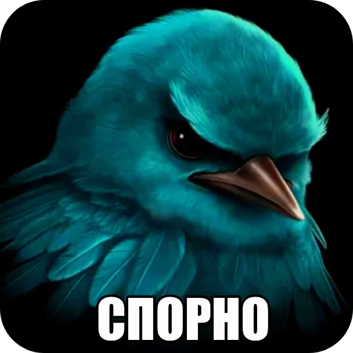 🐦 Стикер «Вряд-ли птица» для Telegram