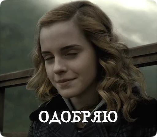 ☺️ Стикер «Potter Memes» для Telegram