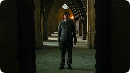 🚪 Стикер «Potter Memes» для Telegram