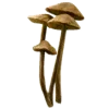 Стикер 56 ୭ 𝐩𝐮𝐞𝐛𝐥𝐨