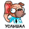 👂 Эмодзи «Мопс Валера» для Telegram