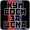 Стикер 41 Пульс Спартака
