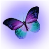 🦋 Эмодзи «𝗣𝘂𝗿𝗽𝗹𝗲 𝗲𝗺𝗼𝗷𝗶 ☞» для Telegram