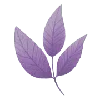 Стикер 5 🌸 Purple - пурпурные эмодзи