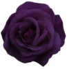 Стикер 46 Purple