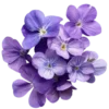 Стикер 39 Purple