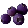 Стикер 54 Purple