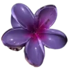 Стикер 34 Purple