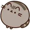 Стикер 37 Pusheen