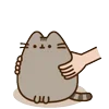 Стикер 41 🍚 Pusheen Кот