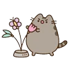 Стикер 49 🍚 Pusheen Кот
