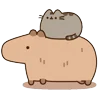 Обложка набора 🍚 Pusheen Кот
