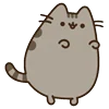 Стикер 18 🍚 Pusheen Кот