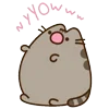 Стикер 43 🍚 Pusheen Кот