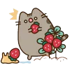 Стикер 60 🍚 Pusheen Кот