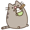 Стикер 16 🍚 Pusheen Кот