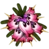 Стикер 61 Pvz 2
