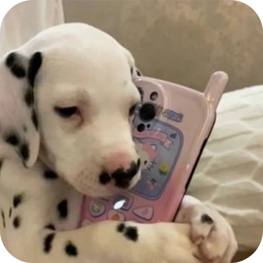 🐶 Стикер «Пятнышки» для Telegram