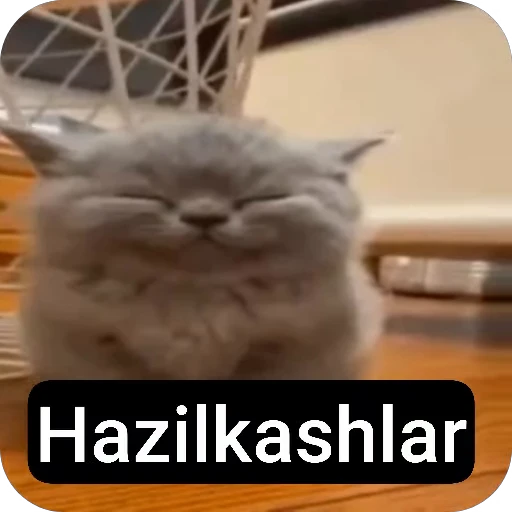 😌 Стикер «Qzu» для Telegram