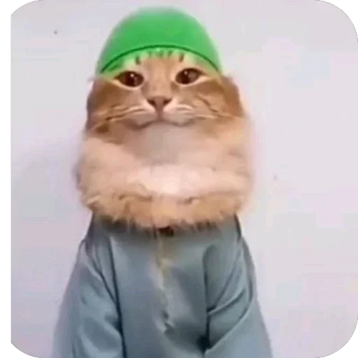 🫥 Стикер «Qzu» для Telegram
