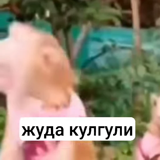 🐒 Стикер «Qzu» для Telegram