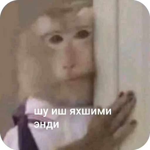 😔 Стикер «Qzu» для Telegram
