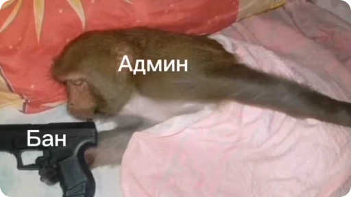 🚫 Стикер «Qzu» для Telegram
