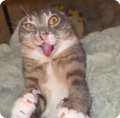 😜 Стикер «Qzu» для Telegram