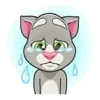 Стикер 17 Tom