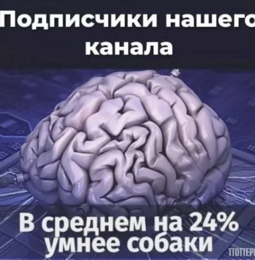 🤩 Стикер «Roflz» для Telegram