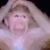 Стикер 16 Monkeys #animals #cute #memes
