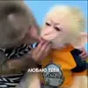 Стикер 30 Monkeys #animals #cute #memes