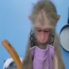 Стикер 37 Monkeys #animals #cute #memes