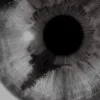 👁 Эмодзи «» для Telegram