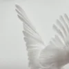 🕊 Эмодзи «» для Telegram