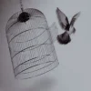 🕊 Эмодзи «» для Telegram