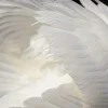 🪽 Эмодзи «» для Telegram
