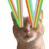 🌈 Эмодзи «Silly random» для Telegram