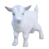 Стикер 37 𝘕𝘪𝘬𝘰𝘭𝘺𝘢 𝘤𝘰𝘳𝘦 ᗒᗩᗕ