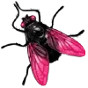 Стикер 37 👁 Random emoji