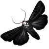 Стикер 39 👁 Random emoji