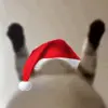 Стикер 25 Random4ik Christmas