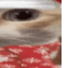 Стикер 13 Random4ik Christmas
